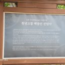 부산통일관 Daum카페