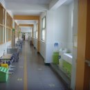 서울대치초등학교 이미지