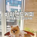 바이앤드링크 | 망원동 바이앤드커피 애견동반 | 층고 높은 감성 주택개조 감성카페 내돈내산