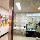 멍이냥식 이미지