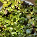 햇살찜질방 이미지