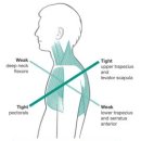비비드 휘트니스 이미지