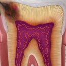 연세한스치과의원 이미지