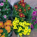 원테이블 이미지