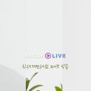 찬스헤어 이미지