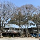 장안할매집 이미지