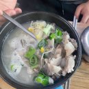 빙그레 국밥 이미지