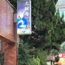 강남역 메밀소바 오무라안 삼미소바후기