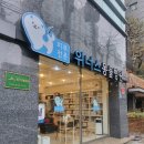 위너스 동물병원 | 강아지 피부질환 전문병원 - 역삼 위너스 동물병원 다녀오다
