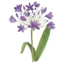 각남면사무소 이미지