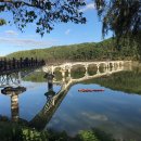 안동영가찜닭 이미지