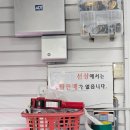 경주 감포 삼치낚시 선상 용오름호 후기