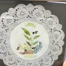 캘리중급 이미지