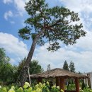 배산휴먼시아 4단지 유아놀이터 | 문화도시 오산시 금암동 걸어서 동네 한바퀴 아카이브