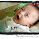 소답동115 이미지