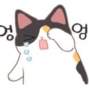 에이비씨(ABC)헤어 이미지