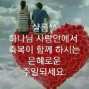 - 샬롬 - 이미지