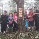 신선약수터 이미지