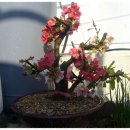 신동농장 이미지