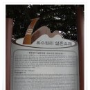 유수암(거문덕이) 티스토리