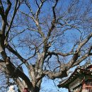 미암1리 이미지