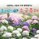 제주 휴애리 여름 수국축제 이미지