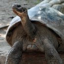 (주)거북 이미지