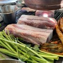 삼배통