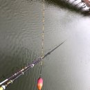 용주골낚시터 이미지