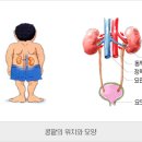 우신장