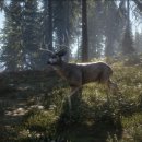 (주)아이게임 이미지