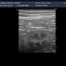 유동물의료센터 이미지