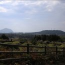 동광리-9 이미지