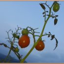 보명모텔 이미지