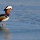 청도천2 이미지