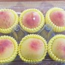 한진청과 이미지