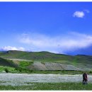 산 아래 이미지