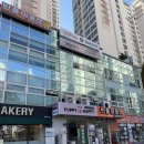 해피애견 | 수원 애견 카페 “퍼피해피 애견카페” 방문 후기