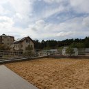 유니하우스 이미지