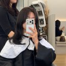 로데오헤어 | 압구정로데오 미용실 초이진헤어 톤다운 염색 후기 조은서 디자이너