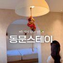 원인테리어 인근(작전시장 남측 입구 인근 맞은편) | 제주) ‘동문스테이’ (제주공항 근처 동문시장 접근성 좋은 제주 감성 숙소)