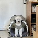빛톤