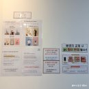 퍼피당강아지 안산본점 | 안산 셀프사진관 애견동반 가족사진 대만족 후기, 상록구 부록스튜디오