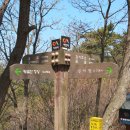 한국지엠서산바로서비스 | 몽돌해변과 코끼리바위가 아름다운산 "서산 황금산(黃金山)" 장고항 "실치회"