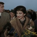 칼라스 친구들 이미지