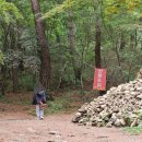 아라메길 (삼길나루길-벚꽃길) | 서산가볼만한곳/서산 팔봉산/서산 삼길포항