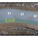 한티별빛아래관광농원야영장 이미지