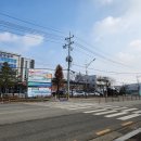 멈무스테이 (Mummoo stay) | 당진 실내 애견 카페 : 스테이 멈무