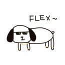 인투게코