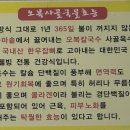 오복원조칼국수 이미지